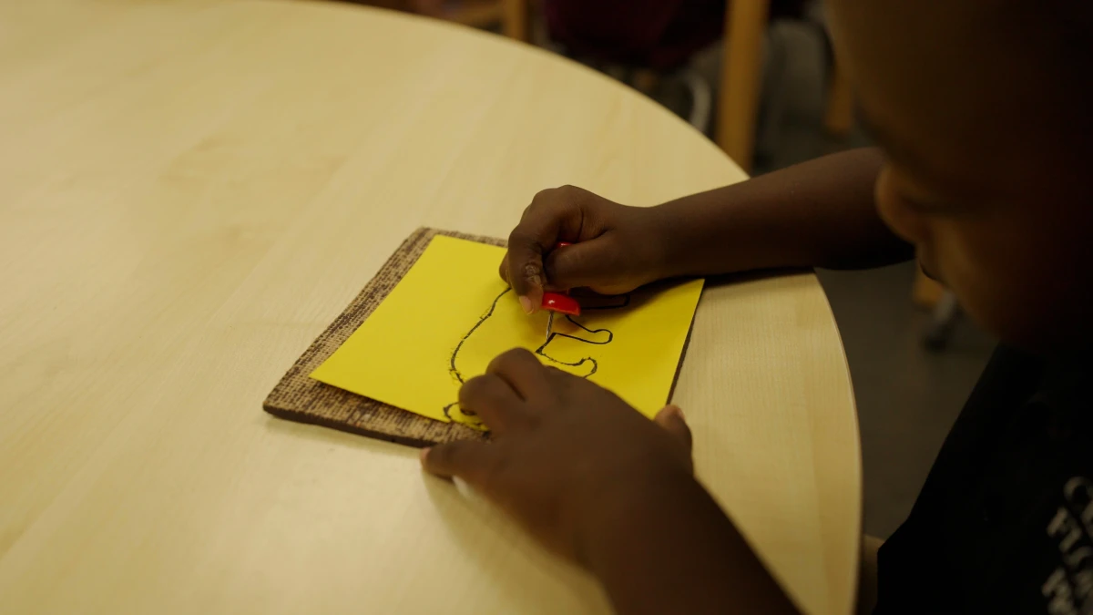 Sensorial exploration